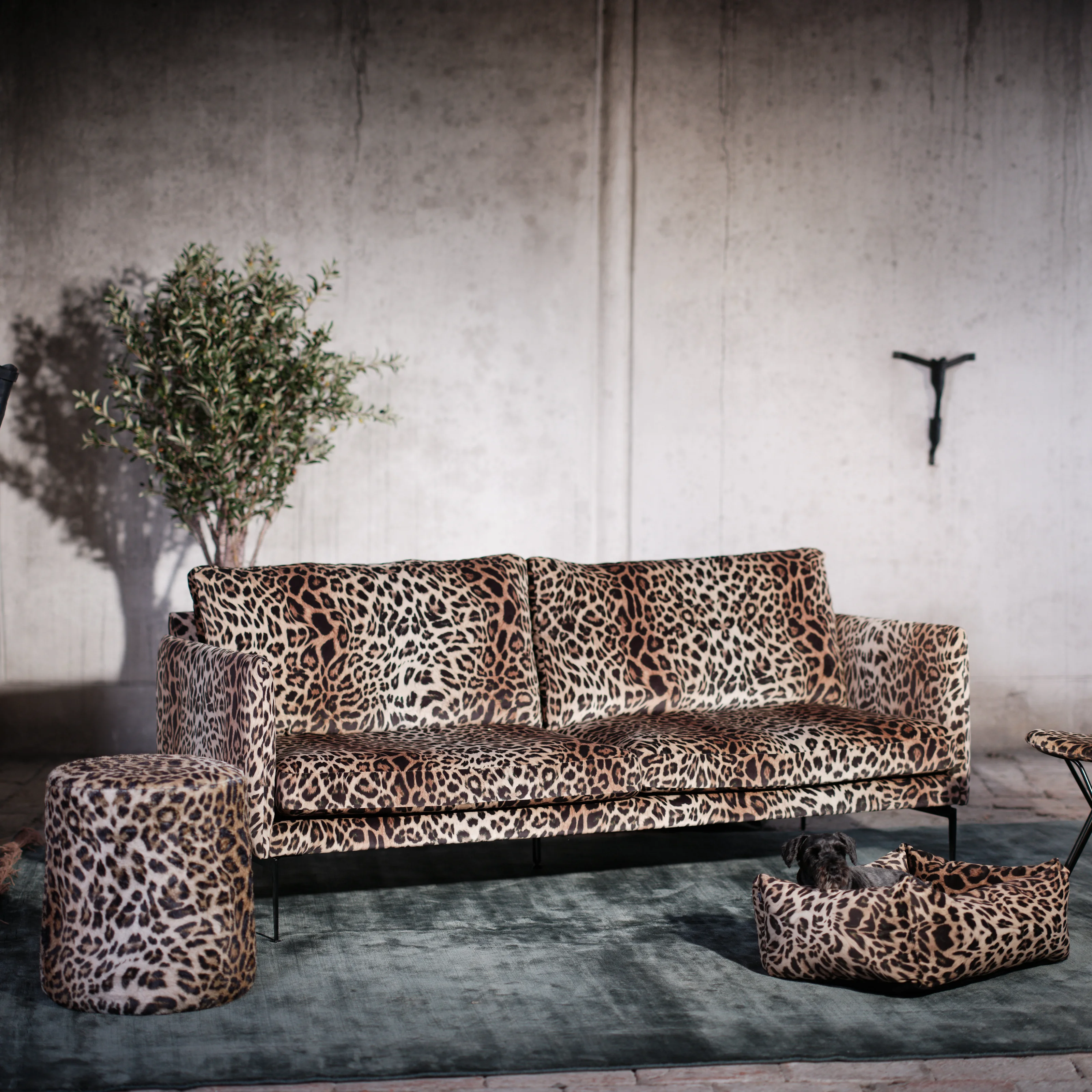 Flamingon - Sofaserie