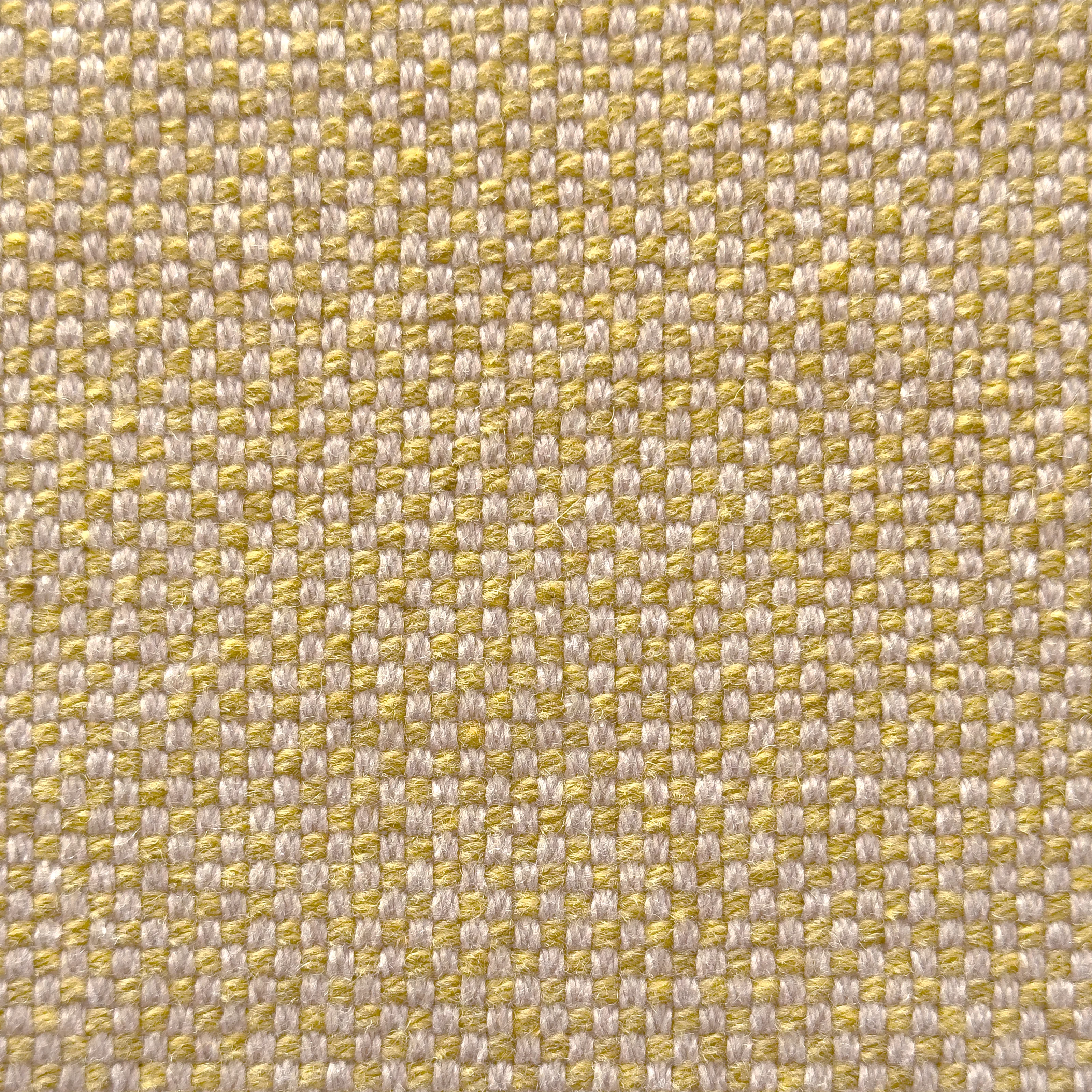 Panama Sennepsgul 027