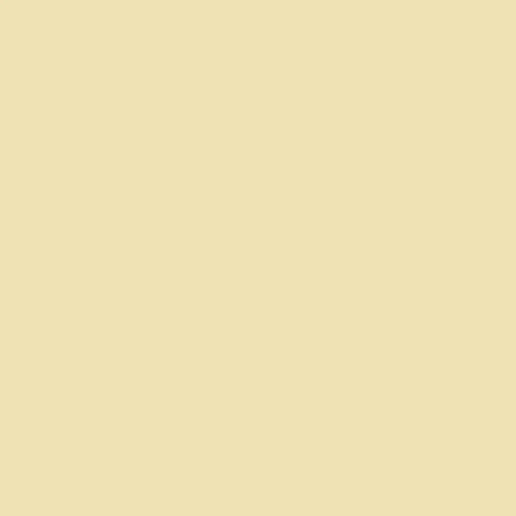 Paint Fresh Pasta