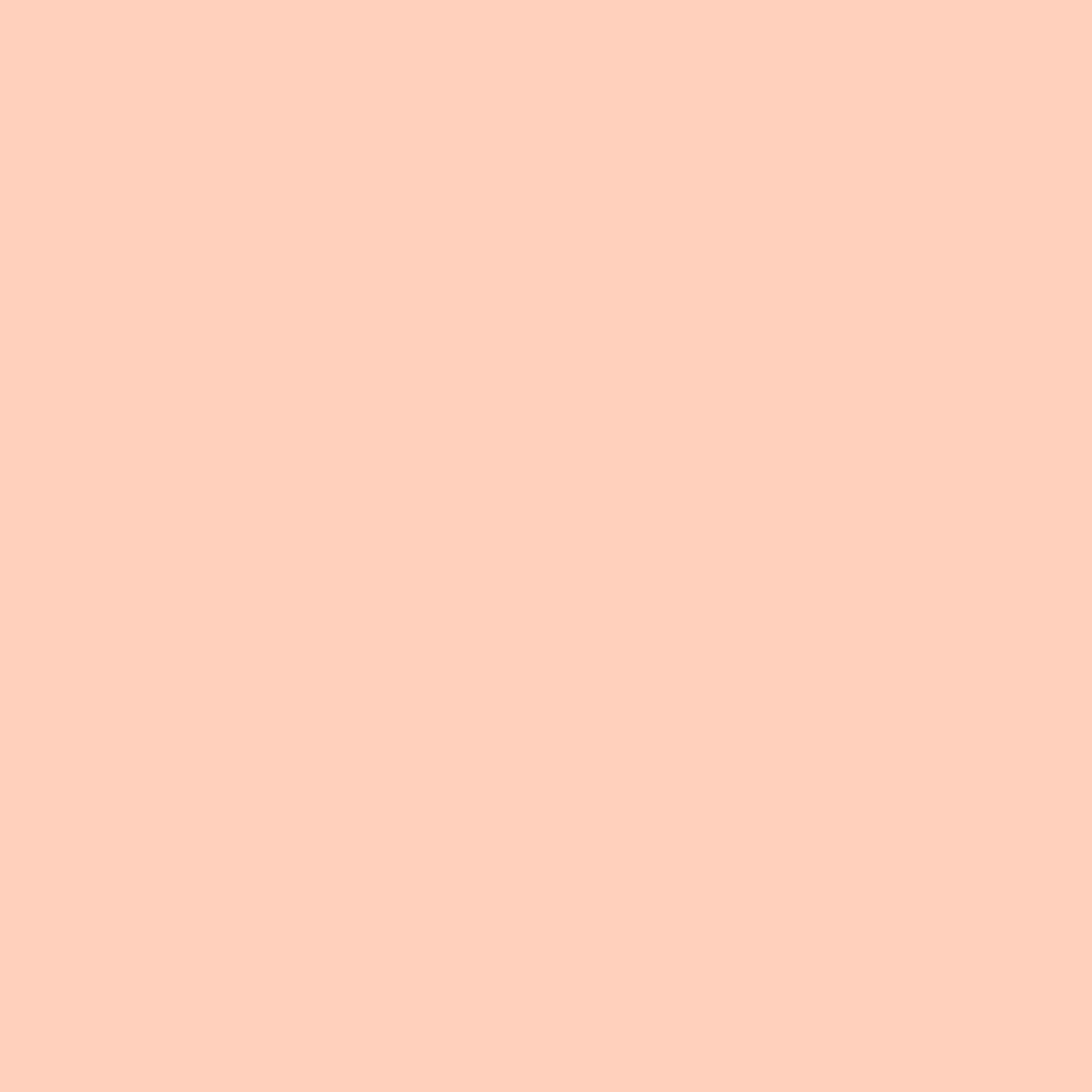Paint Rosa