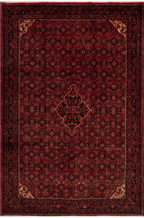 Hoseinabad 60456 - L: 323 cm x W: 218 cm