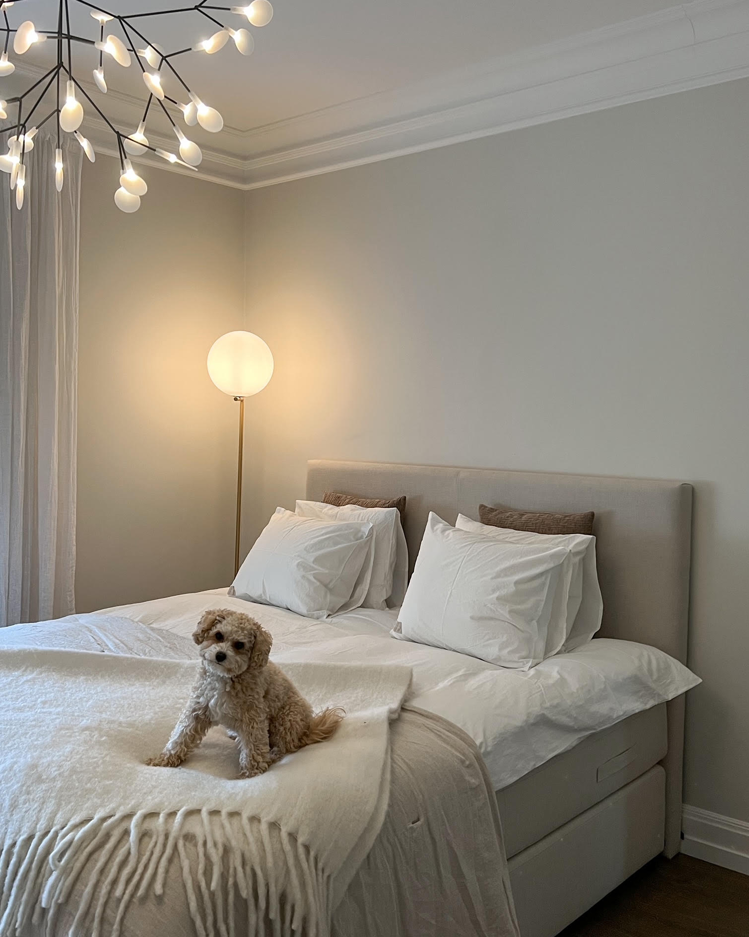 Zebran kontinentalsäng i beige linne med hund sittandes i sängen.