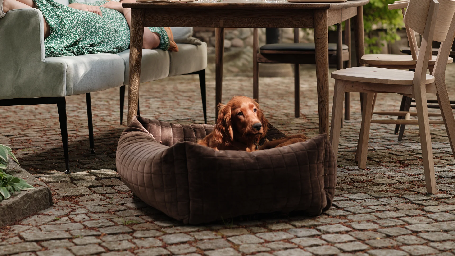 Hundebetten