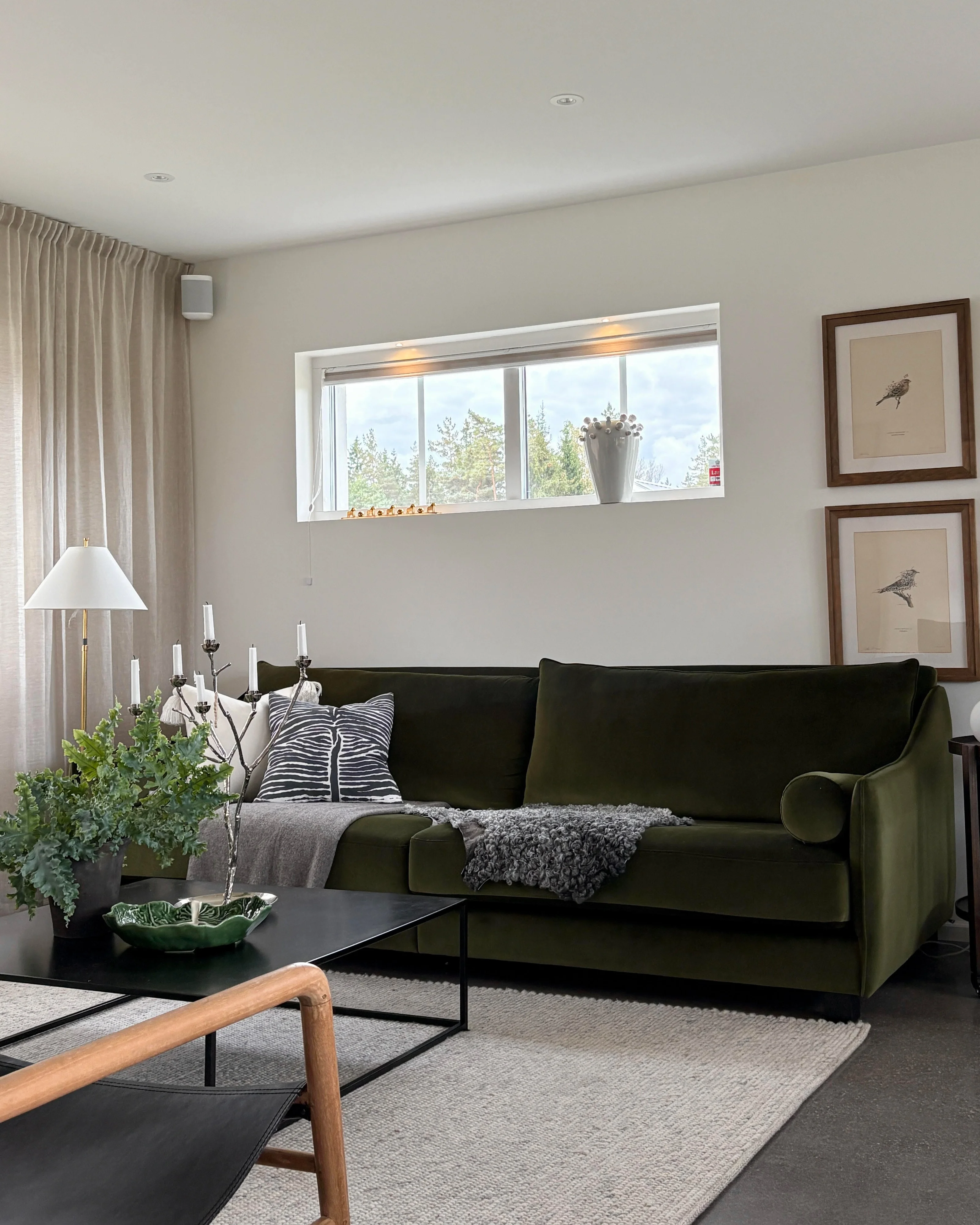 Antilopen 3,5-Sitzer-Samtsofa in grünem Samt, im Wohnzimmer.