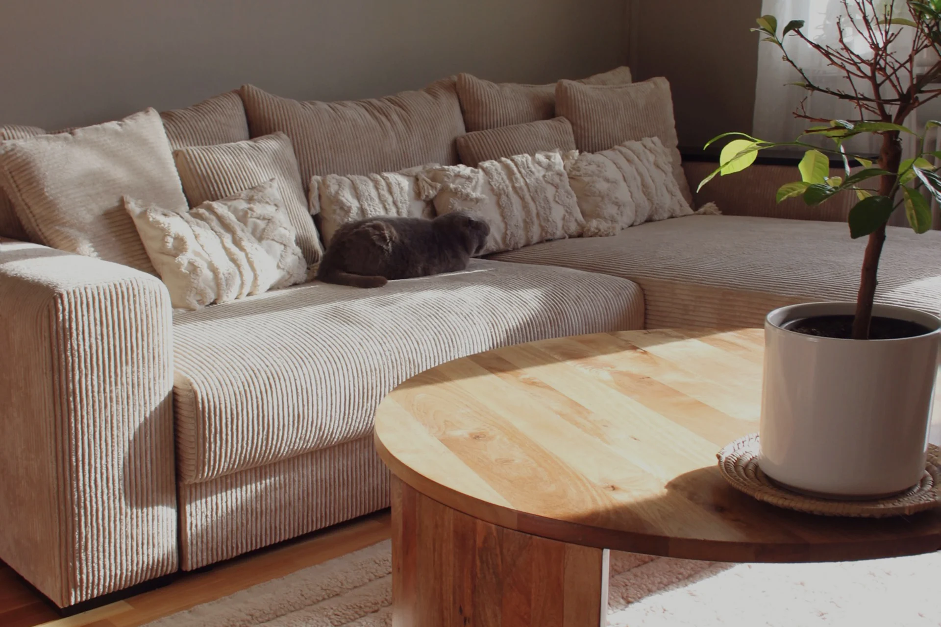 Björnen 2.0 Pre-made