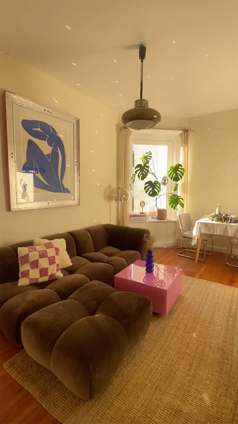 Dromedaren i Solemio Mörkbrun 04.