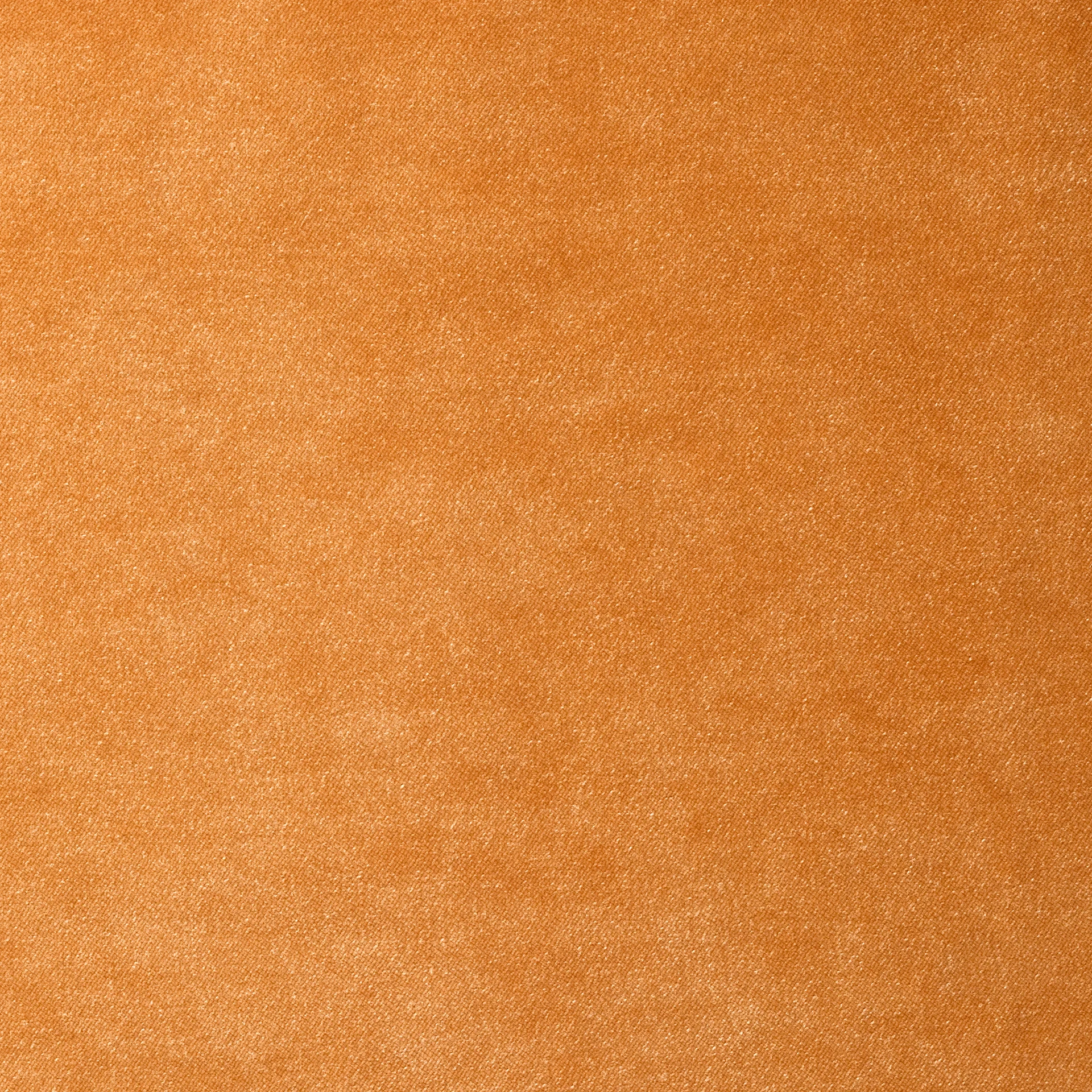 Sennepsgul 88