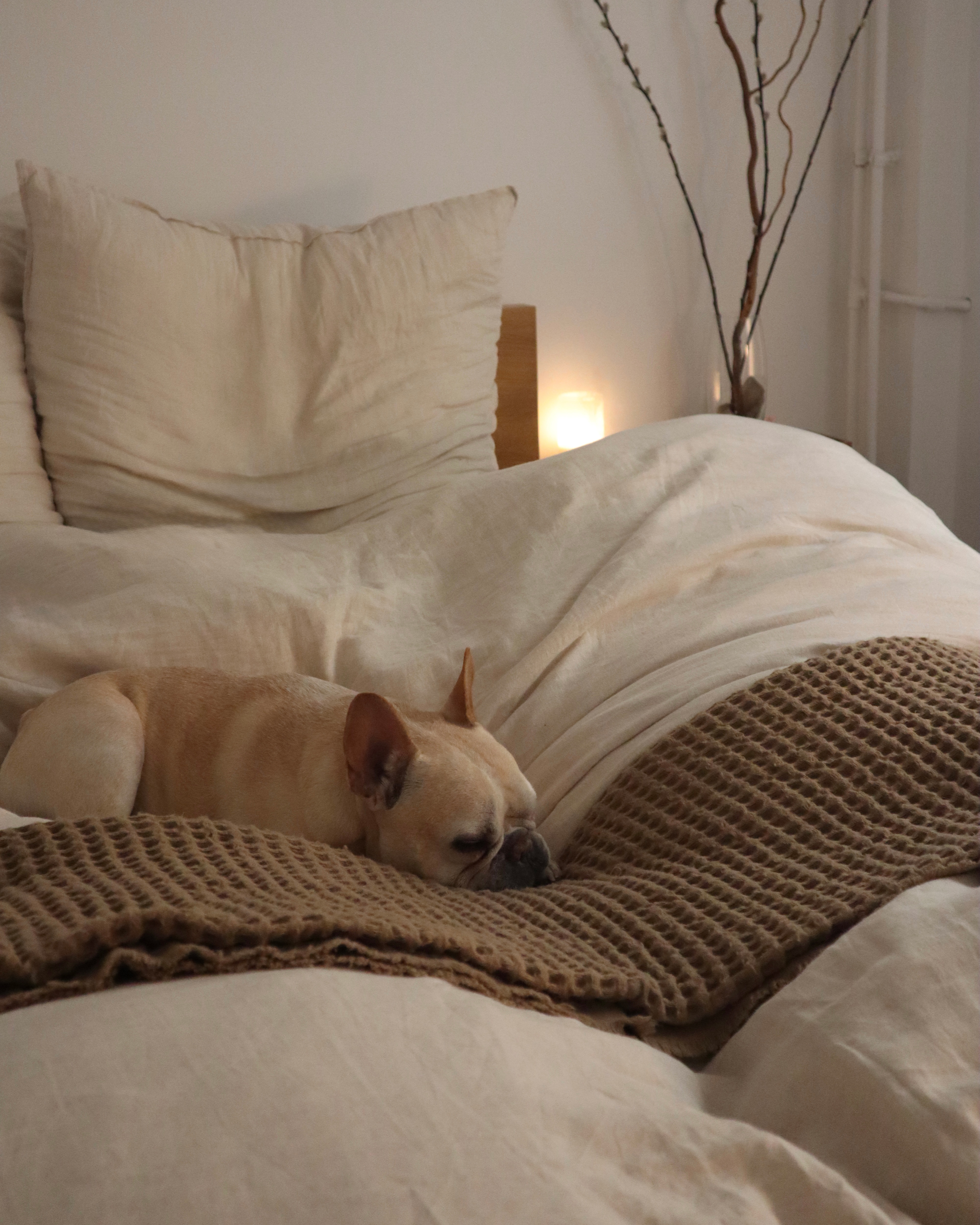 Get inspired by our down comforters and fluffy products | Happy Fluffy Cloud