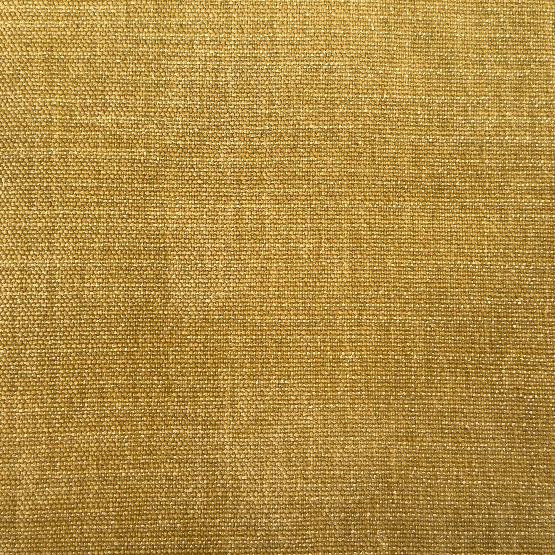 Buttergelb 503