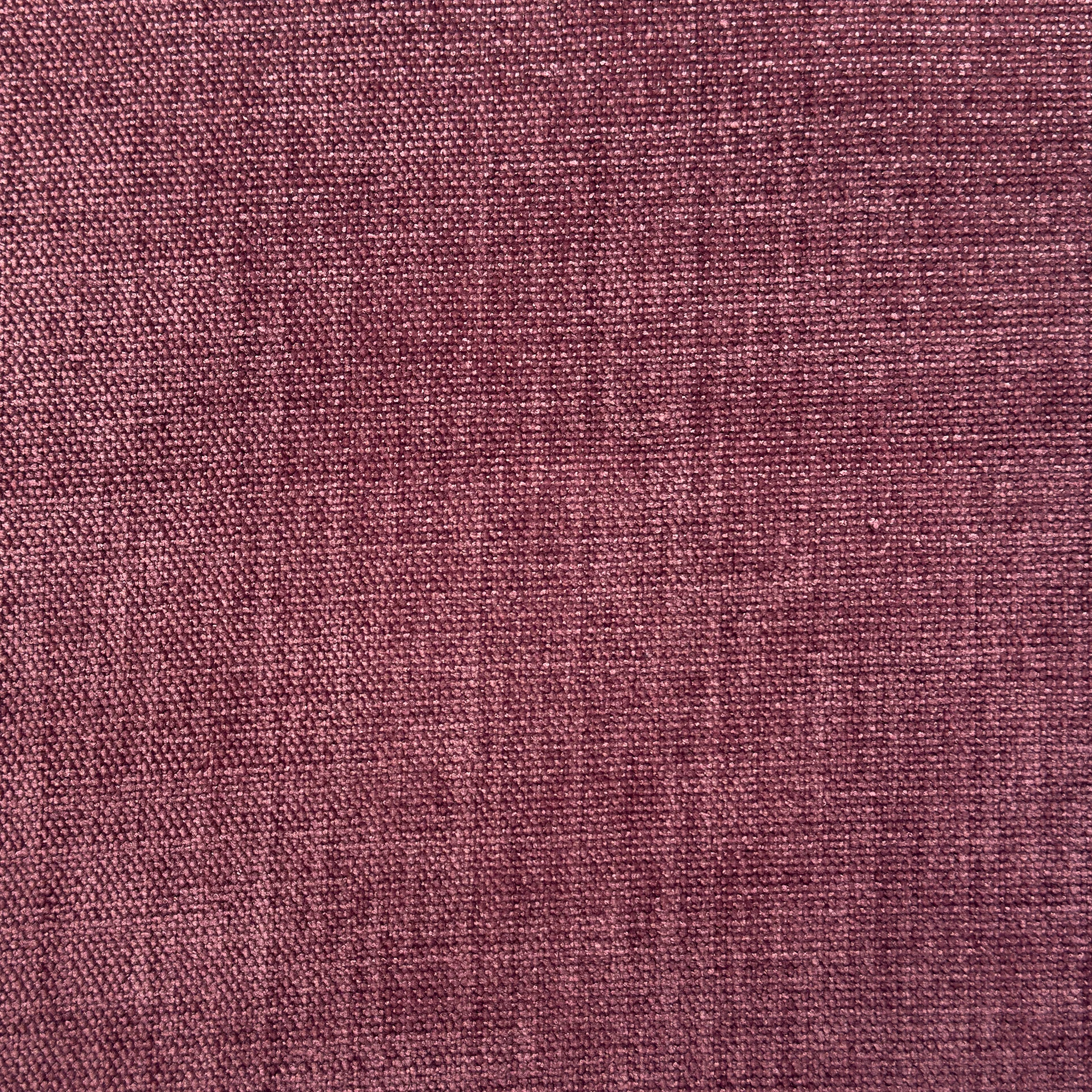 Pflaume 303