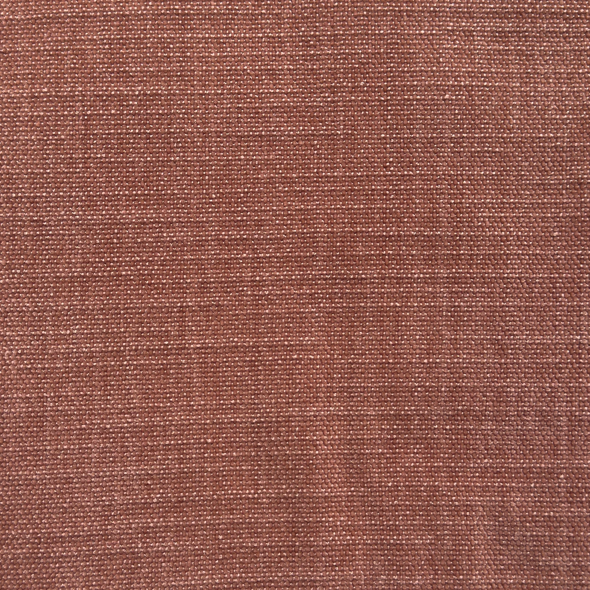 Rosa 901