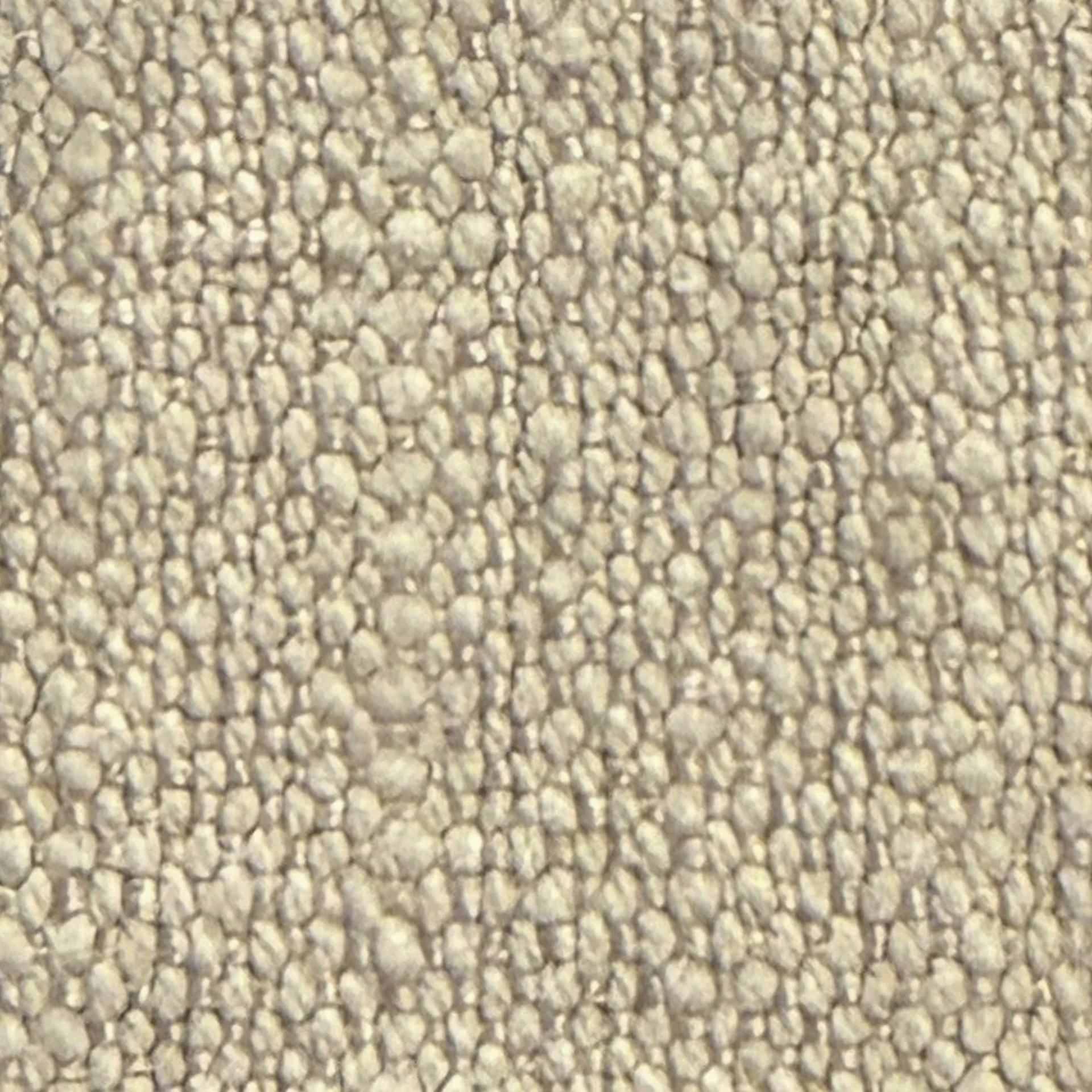 Fossil 16