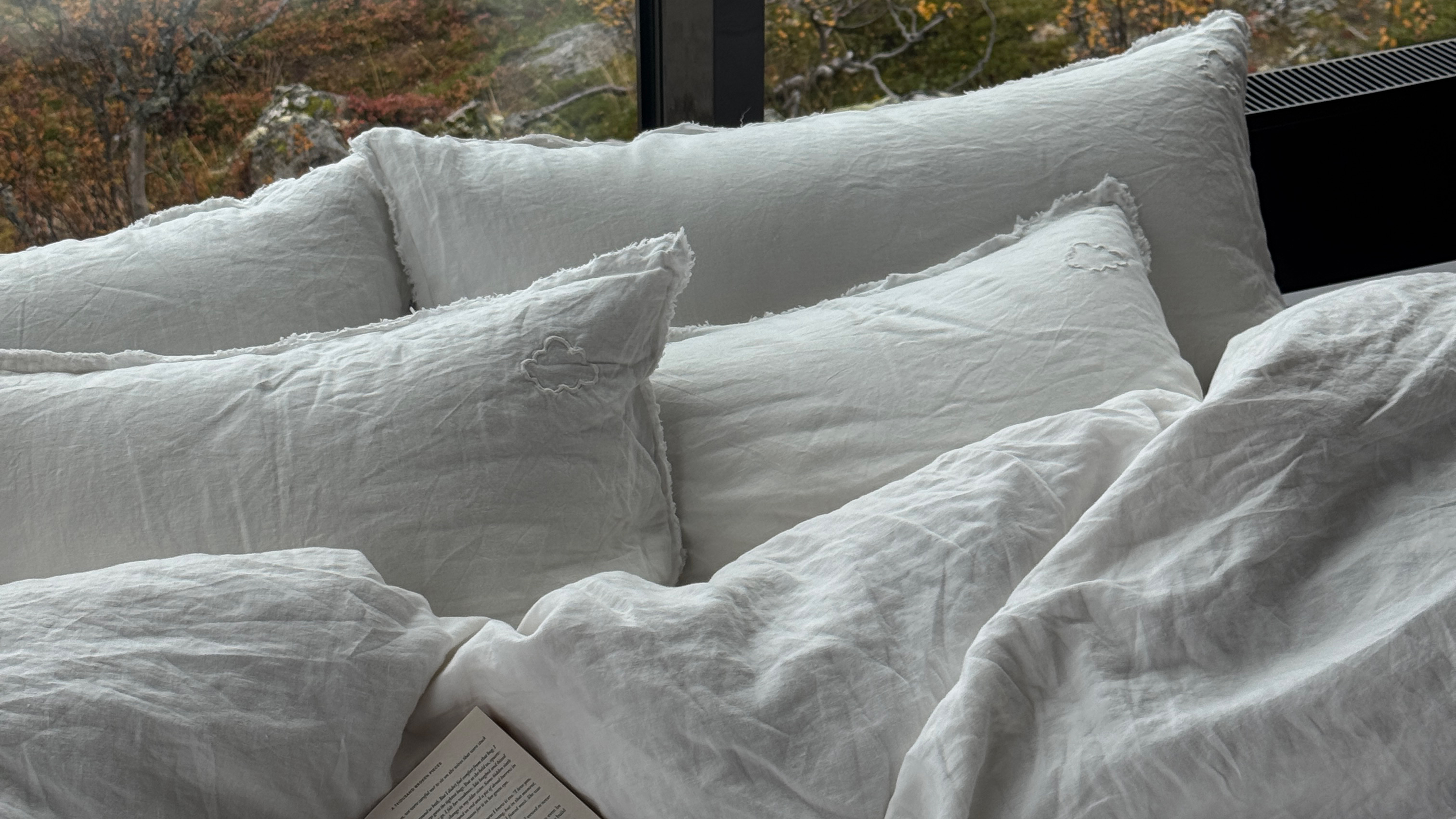 Bedingungen und AGBs | Sicherheitsgarantie | Happy Fluffy Cloud