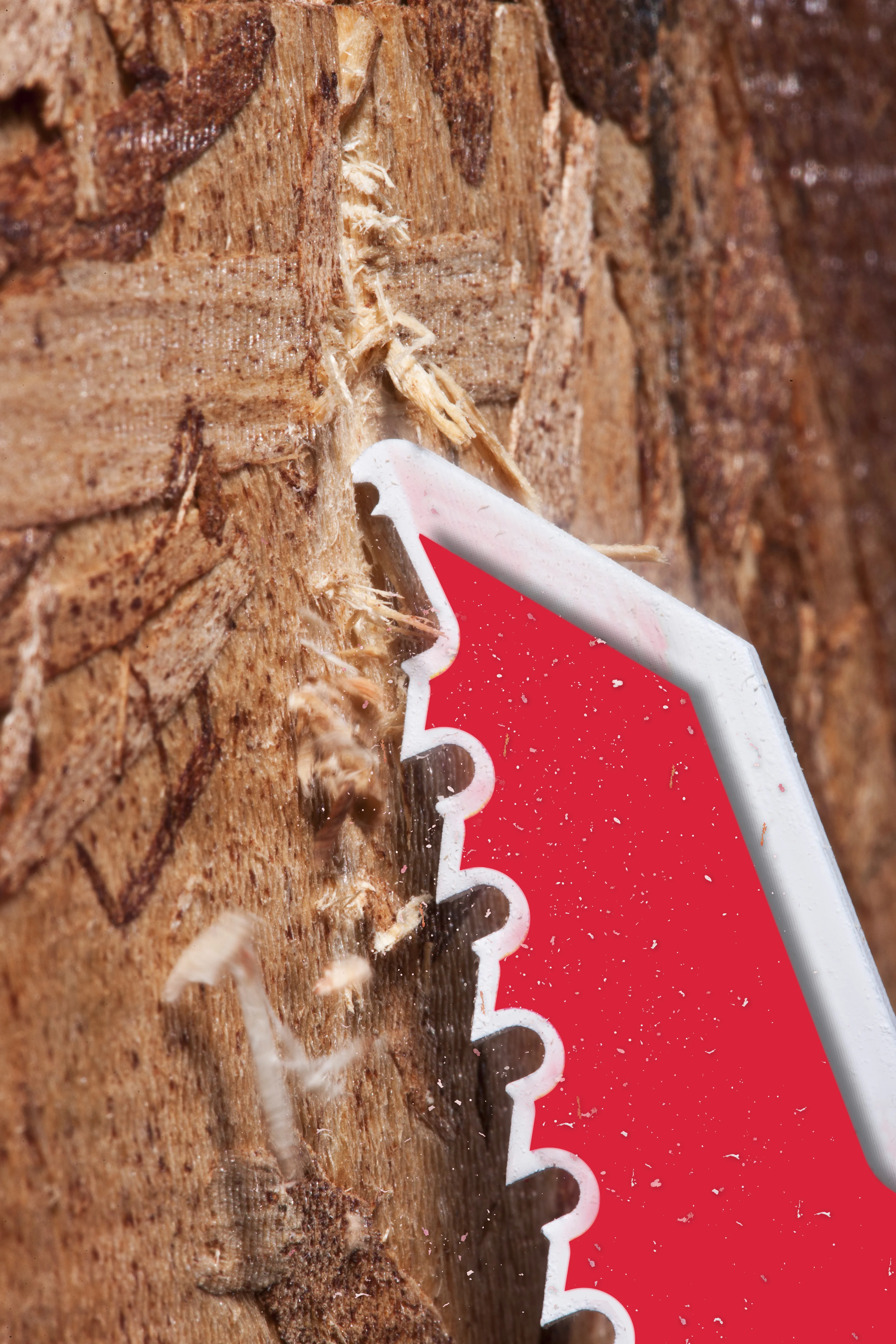 SAWZALL AX-blad dat door hout zaagt