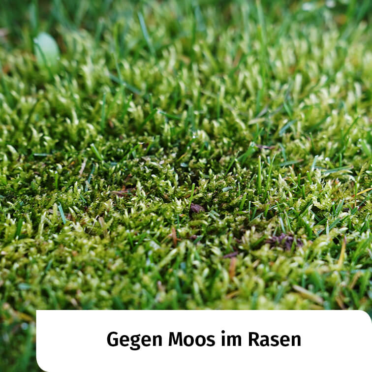 Kaufen Sie Quarzsand direkt vom Produzenten