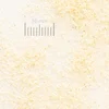 Quarzsand QQs Körnung 0,18-0,25 mm, Makroansicht