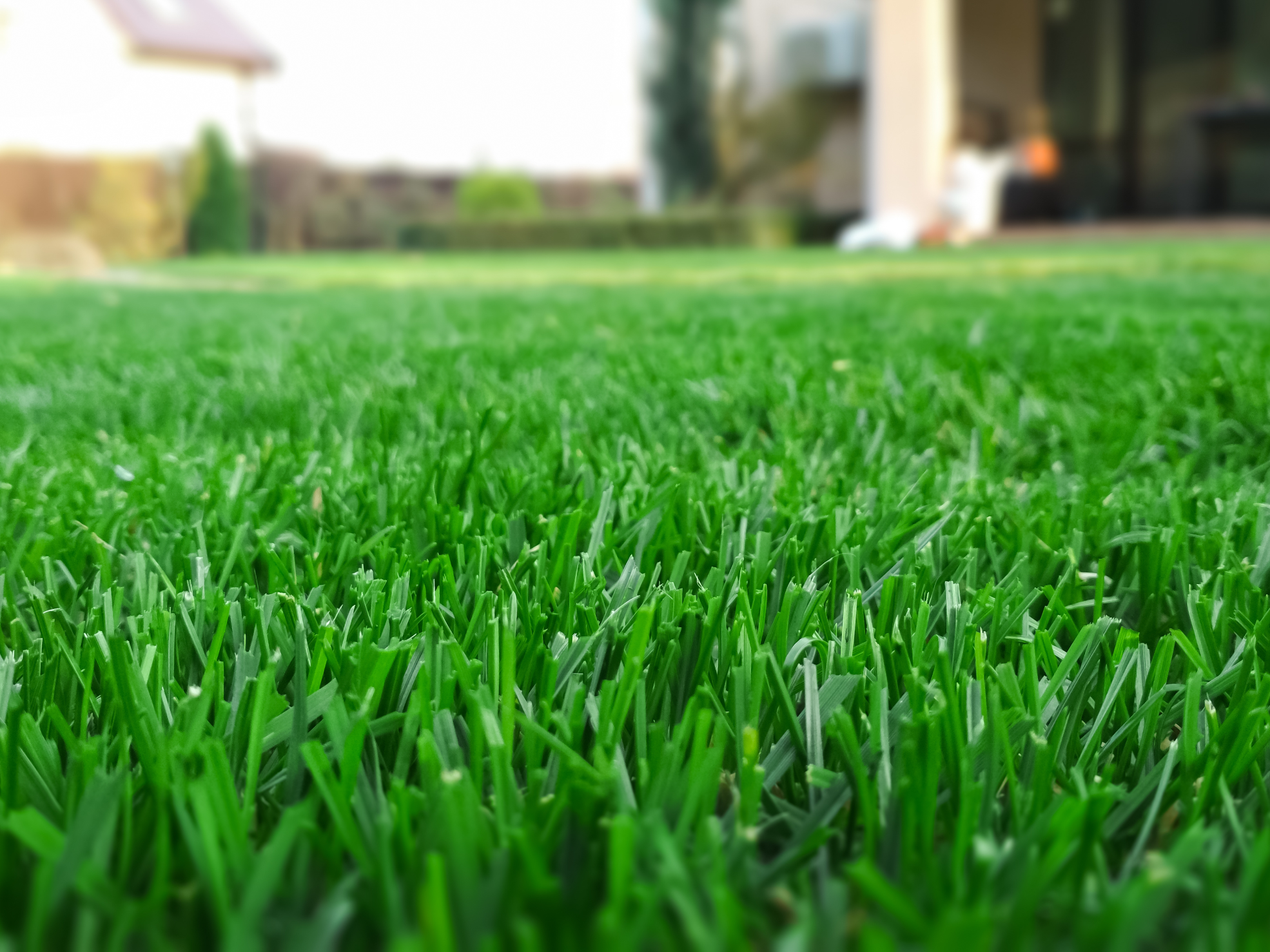 Quarzsand fr Pflanzen in Haus & Garten - versandkostenfrei direkt vom  Hersteller | Quarzsand Shop