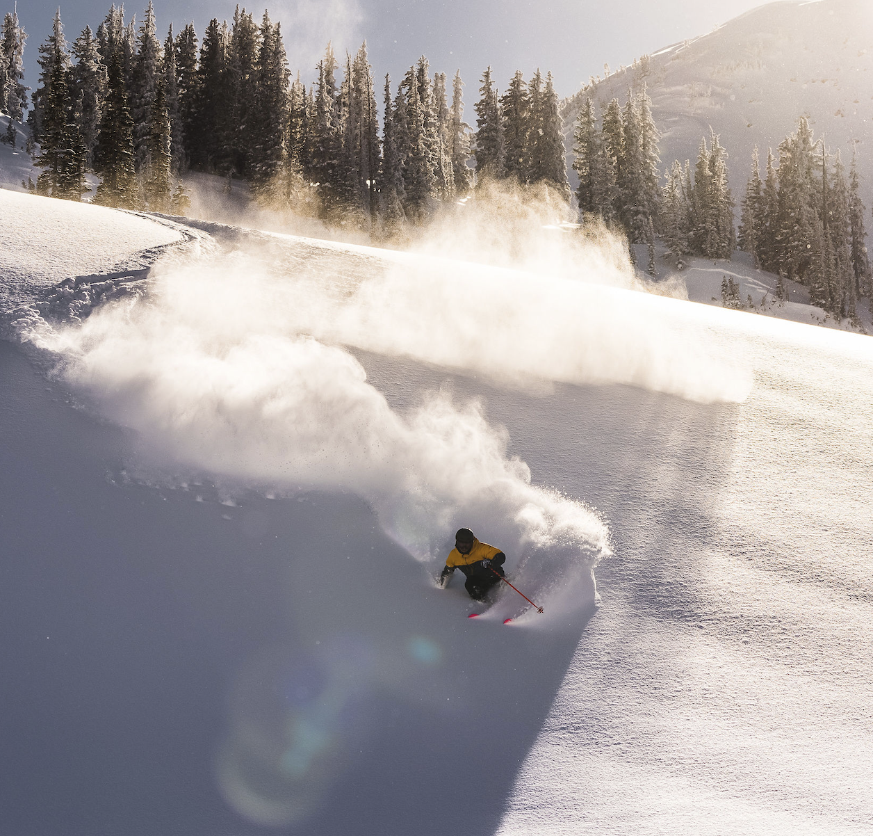 Freeride - ZipFit - Ski Boot Liners
